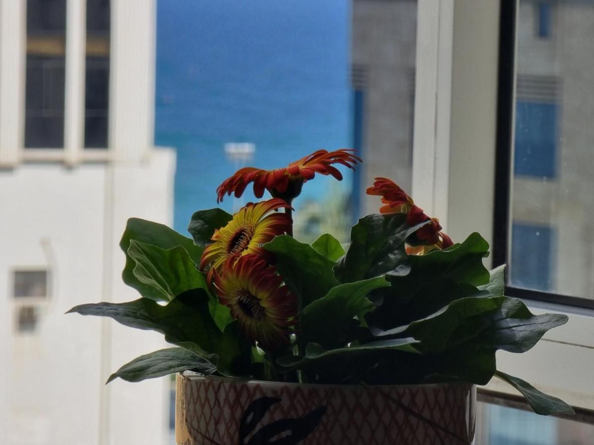 Delicate Serviced Apartment And Hotel Ντα Νανγκ Εξωτερικό φωτογραφία